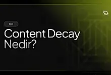 content decay nedir