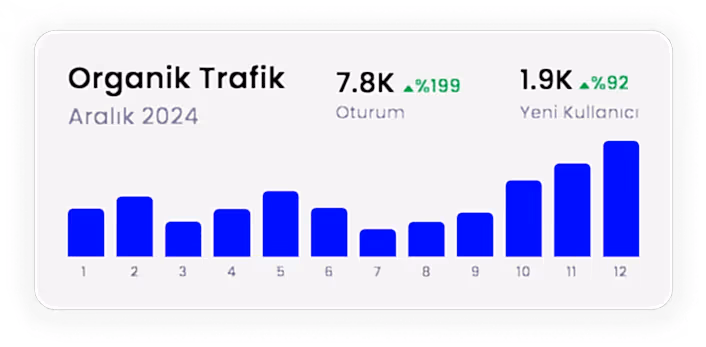 SEO Ajansı Organik Trafik